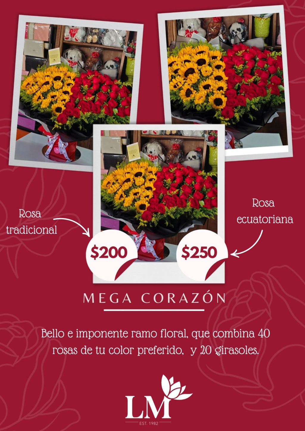 Mega Corazón