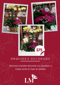 Orquídea Decorada