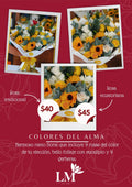Colores del Alma