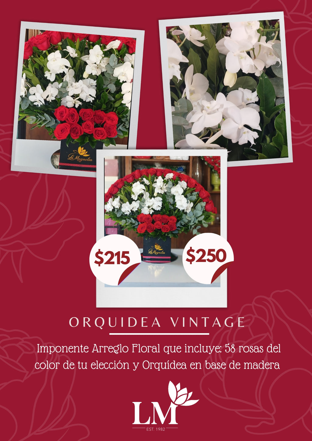 Orquídeas Vintage