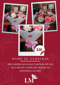 Ramo de Gerberas