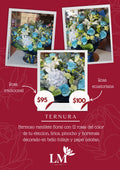 Ternura
