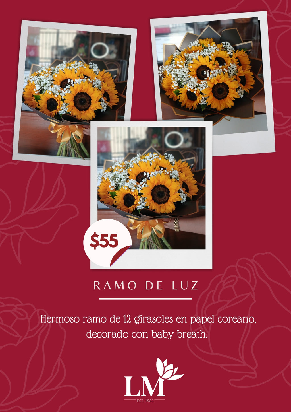 Ramo de Luz