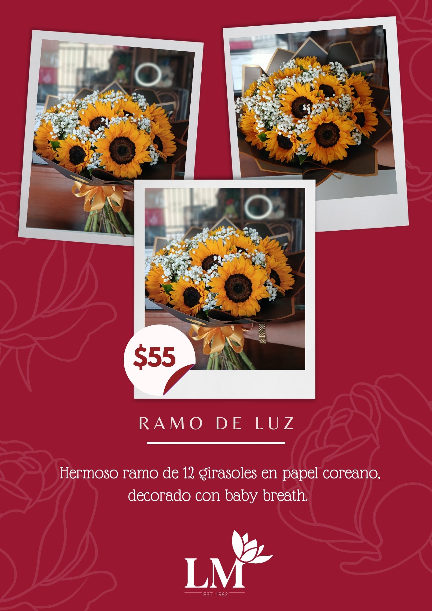 Ramo de Luz