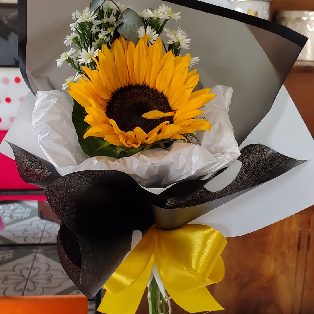 1 Girasol