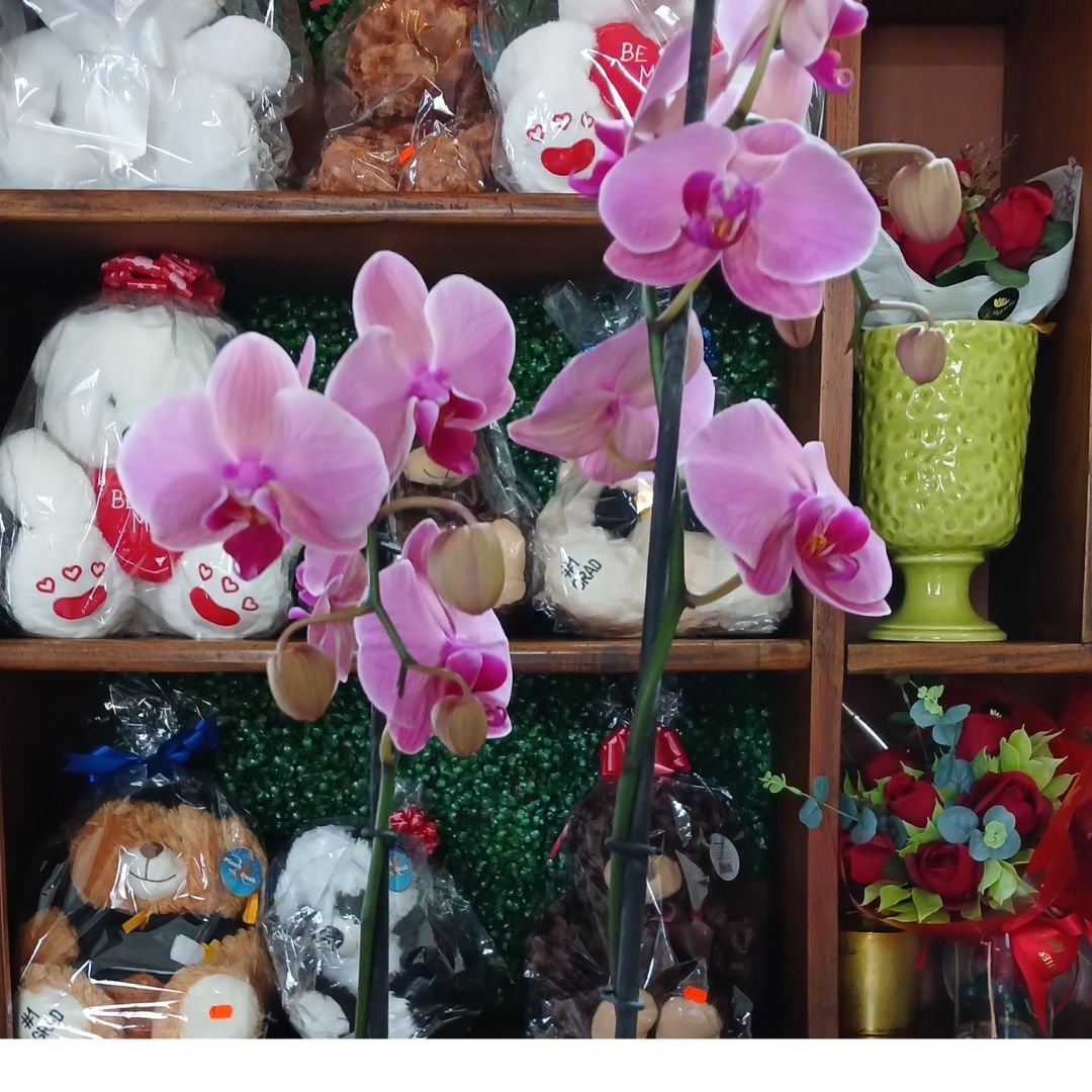 Orquídea Decorada