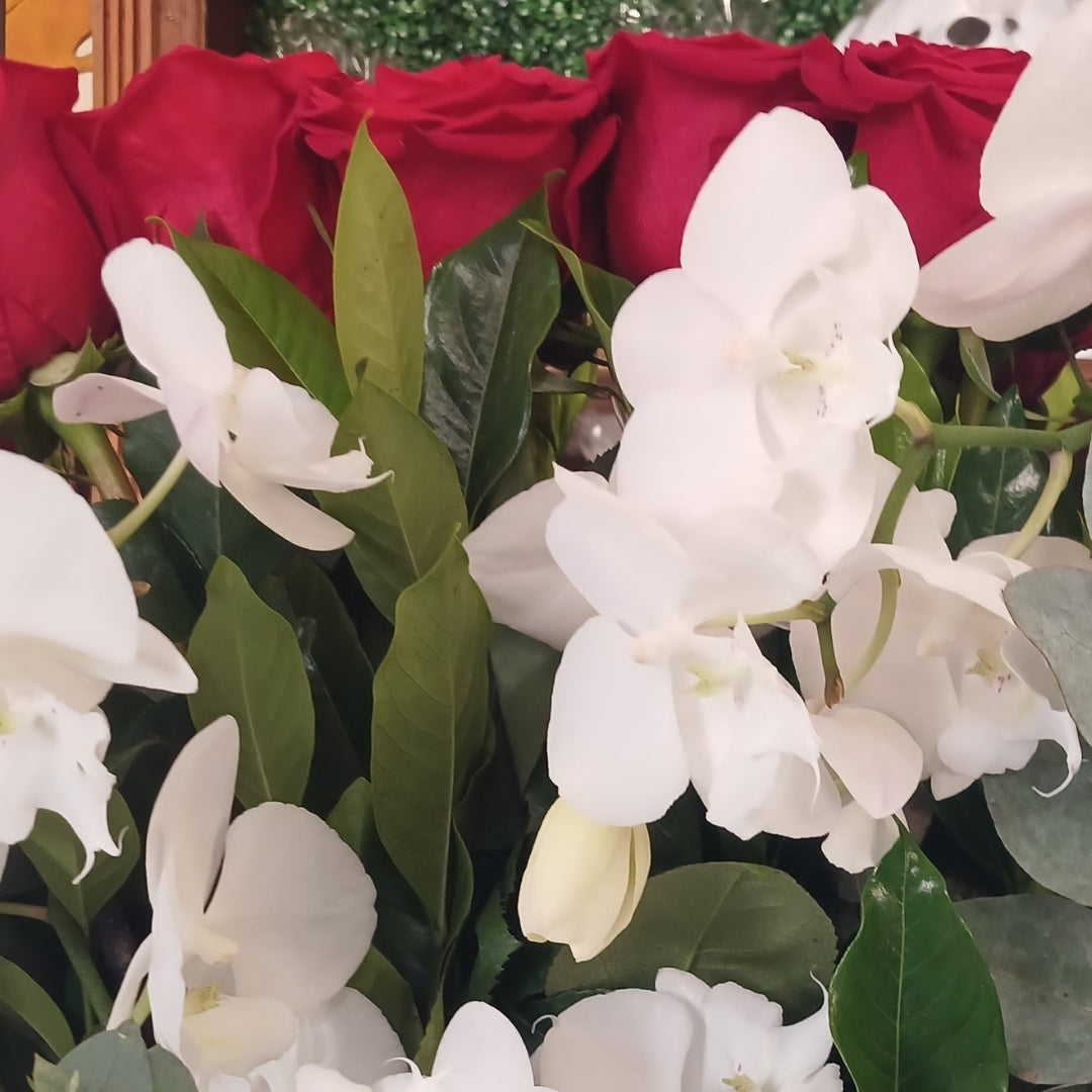 Orquídeas Vintage
