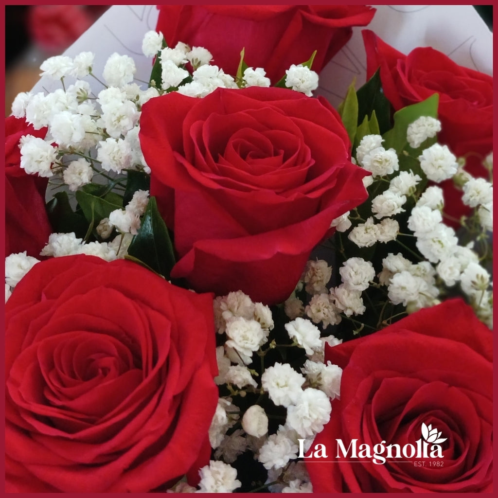 6 ROSAS
