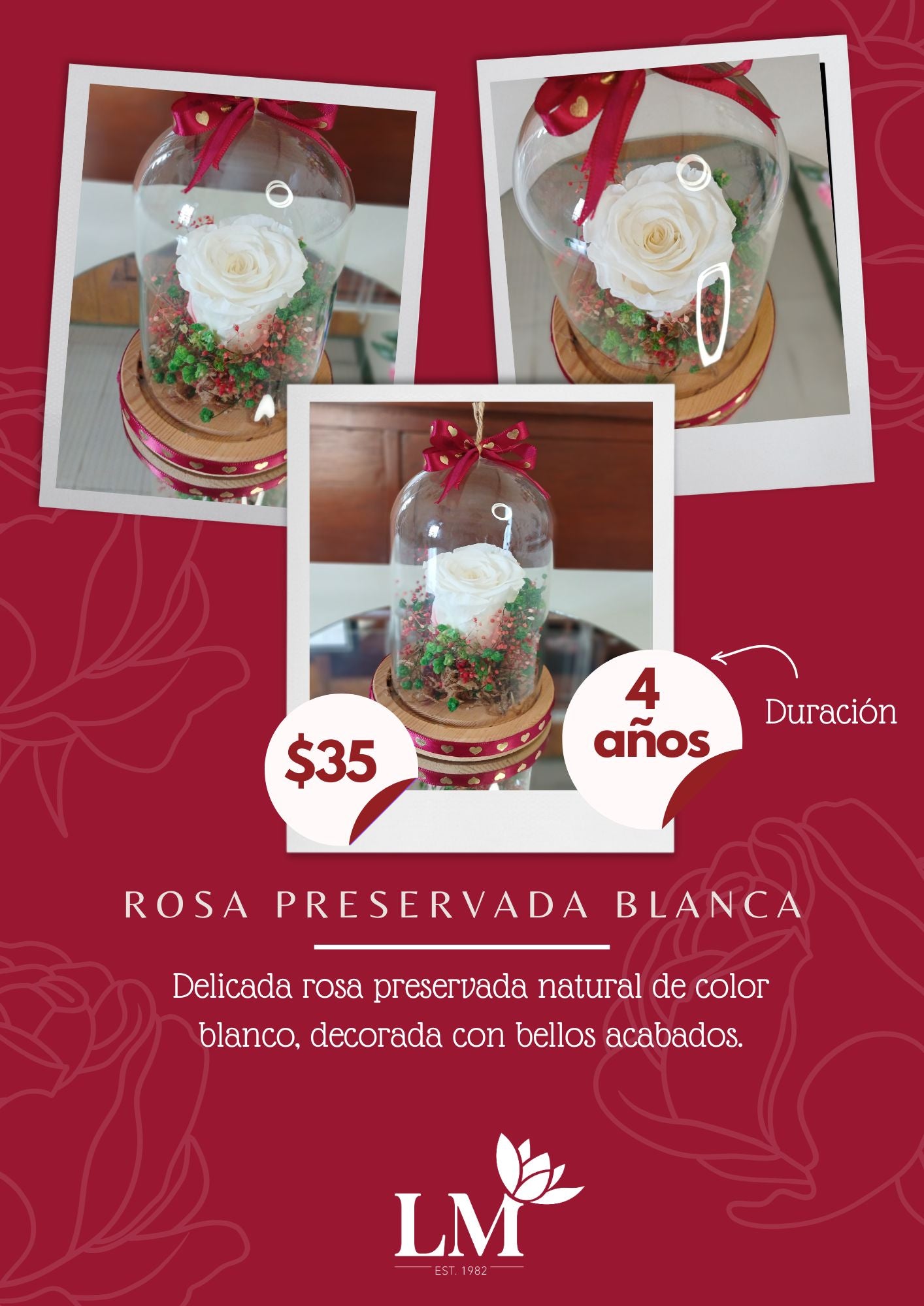 Rosa Preservada Blanca