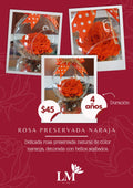 Rosa Preservada Naranja