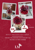 Rosa Preservada Roja