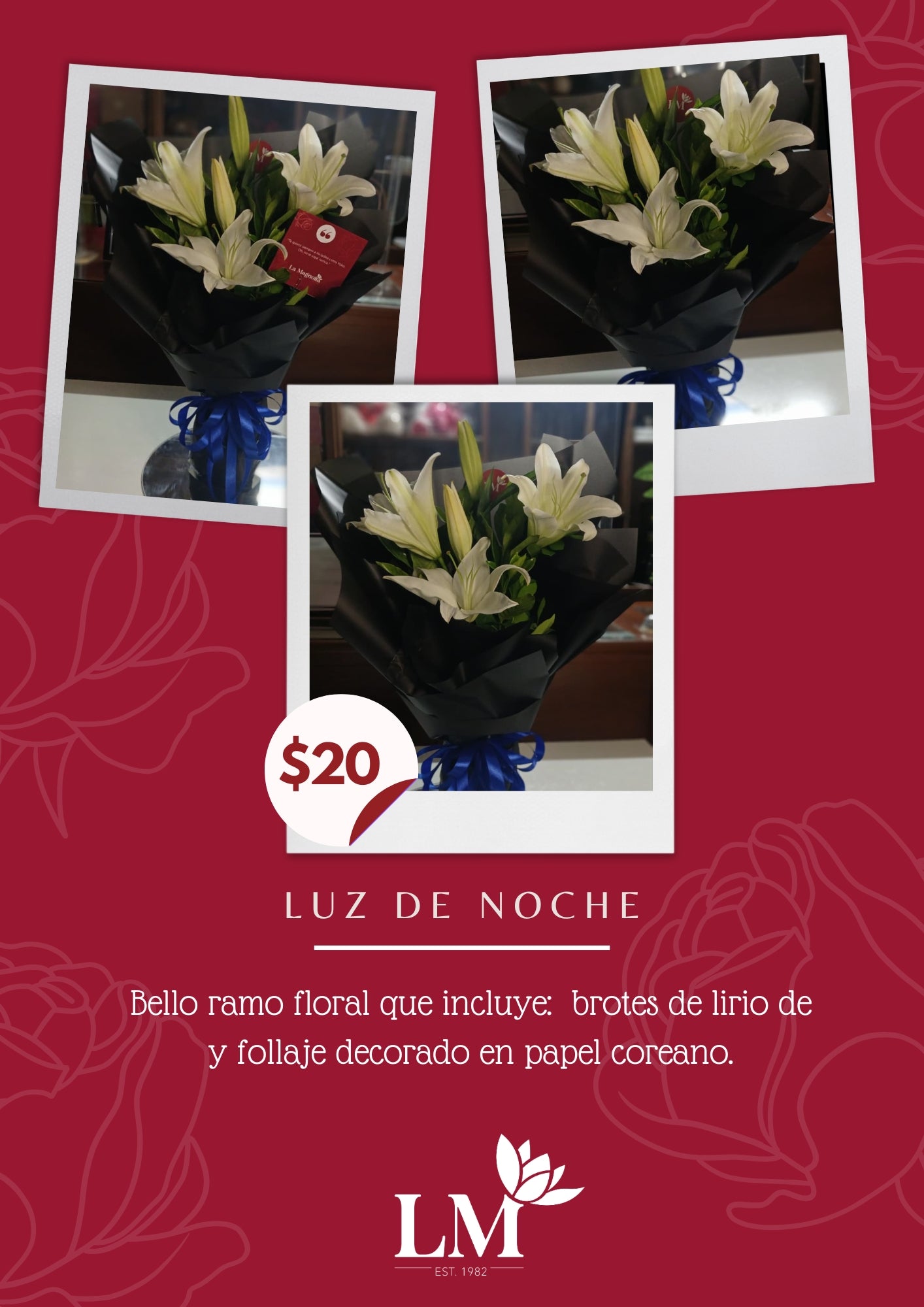 Luz de Noche